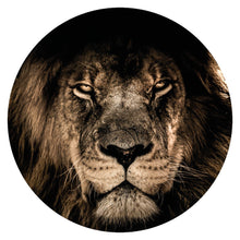 Afbeelding in Gallery-weergave laden, Wandcirkel African Lion
