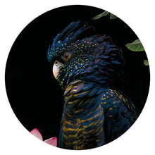 Afbeelding in Gallery-weergave laden, Wandcirkel Cockatoo
