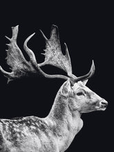 Afbeelding in Gallery-weergave laden, Schilderij-Dark Deer-PosterGuru

