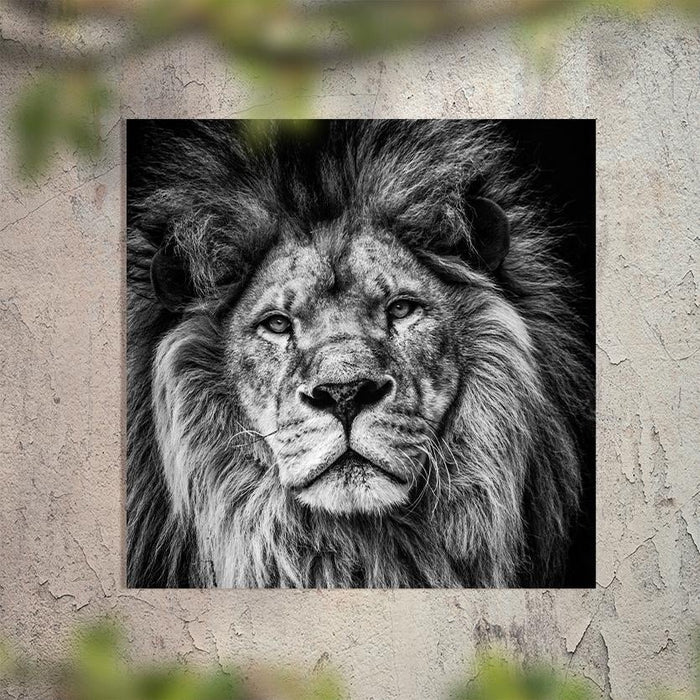 Schilderij-Lion-PosterGuru