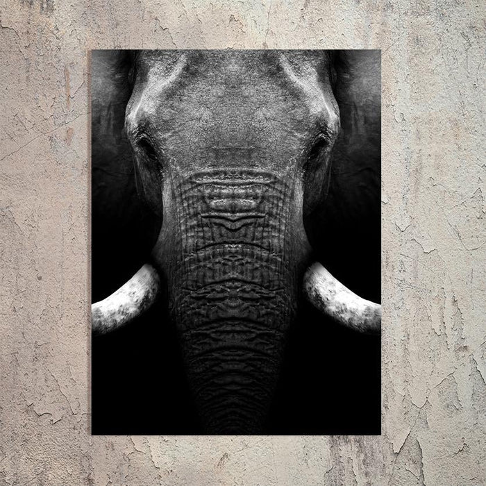 Schilderij-Olifant Close Up-PosterGuru