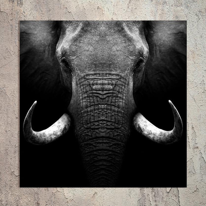 Schilderij-Olifant Close Up-PosterGuru