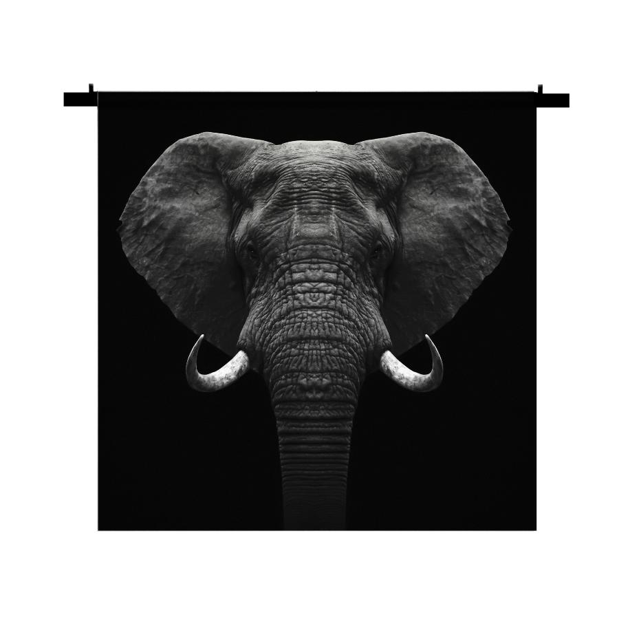 Schilderij-Olifant No2-PosterGuru